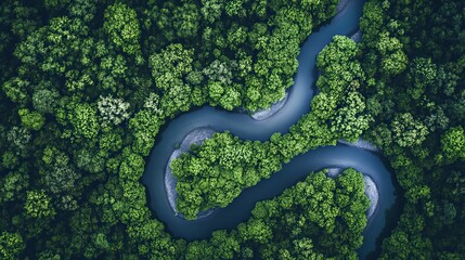 Obraz premium Aerial View of a Meandering River through a Forest.