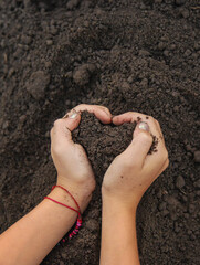 Child holding soil and plant in hands. Selective focus.