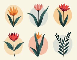 A collection of six stylized floral illustrations featuring vibrant blooms and leaves against pastel circular backgrounds, showcasing a minimalist art style.