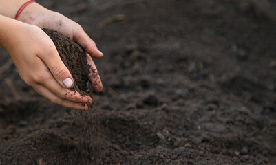 Man holding soil in his hands. Selective focus.
