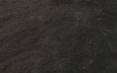 Black soil close-up in nature. Selective focus.
