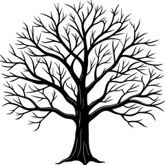 Obraz premium tree with leaves