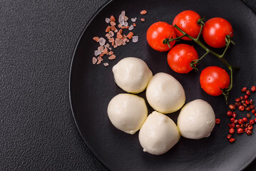Delicious fresh mozzarella cheese with tomatoes, salt and spices