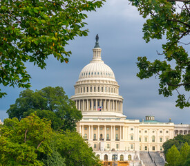 United States Capitol under an overcast sky seen through green leaves