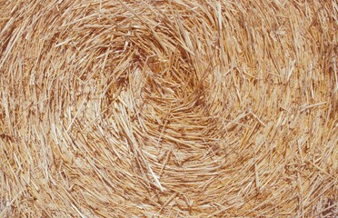 Straw bale texture background. Close-up of a hay bale. Stacks of hay stacked in a field.