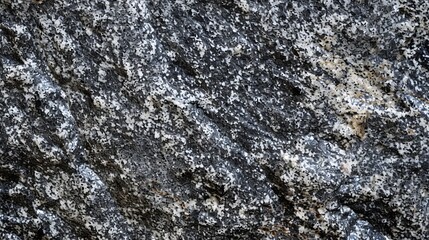 Obraz premium Close-up texture of a rugged gray rock with white flecks.