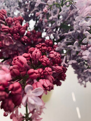 pink and lilac flowers