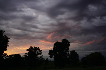 sunset over the forest