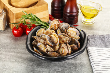 Raw vongole clams for cooking