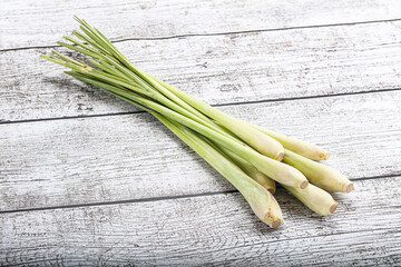 Lemongrass - Asian aroma plant for cooking