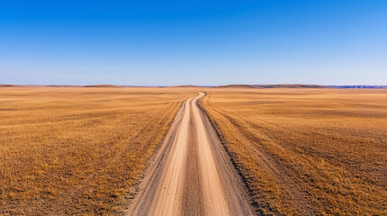 Fototapeta premium Long, straight dirt road stretching into the horizon, cutting through a vast desert landscape under a clear blue sky.