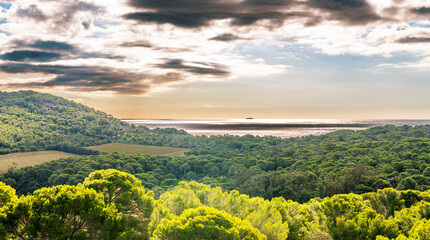 Obraz premium Nature and fields on the island of Porquerolles, in the Var, in Provence, France