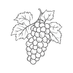 Fototapeta premium illustration of grapes