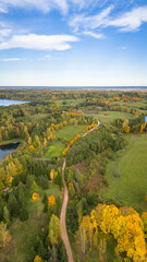 autumn trees on the lake