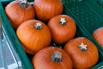 A vibrant display of small orange pumpkins in a green plastic box, perfect for Halloween preparations. The seasonal produce adds a touch of autumn spirit to any home or celebration.