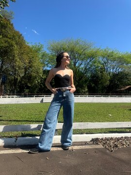 beldade mulher no aras de cavalos 