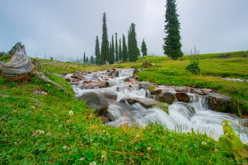 Nalati Grassland, one of the most beautiful grasslands in China for its alpine and valley scenery, Xinyuan County, Ili Kazak autonomous prefecture, Xinjiang Uygur autonomous region, China
