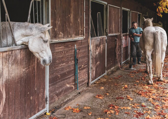 Farrier Shoeing a Horse in a Stable