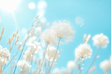 Dandelion standing tall against blue bokeh background