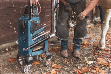 Farrier Shoeing a Horse in a Stable