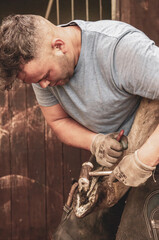 Farrier Shoeing a Horse in a Stable
