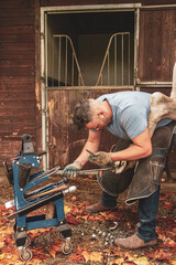 Farrier Shoeing a Horse in a Stable