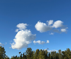 puffy clouds in the sky