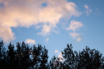 Fototapeta premium Evening sky