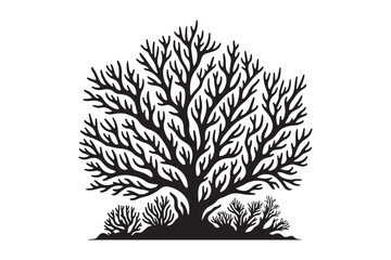 Coral Silhouette minimalist 40.eps