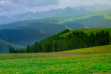 Karajun Grassland, an attractive tourist attraction integrating grasslands, forests, canyons, snow-capped peaks, and lakes, Tekes County, Ili Kazakh Autonomous Prefecture, Xinjiang, China