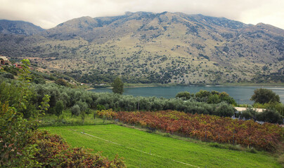 Obraz premium View of mountain, vineyard garden and Kournas on the island of Crete. Greece. Nature, landscape