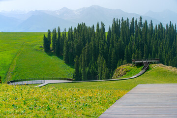 Karajun Grassland, an attractive tourist attraction integrating grasslands, forests, canyons,...