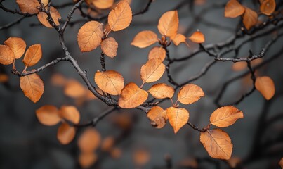 Close-up highlighting the details of tree branches adorned with vibrant autumn leaves, showcasing the beauty and intricacy of nature during the fall season with rich orange hues