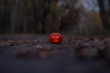 Jack o'Latern Halloween in the Woods. Halloween Decoration. 