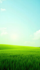 Fototapeta premium Bright and natural green field background, showcasing fresh grass in a real outdoor setting. Ideal for nature themes, gardening, and environmental projects