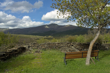 Panoramic nature view from an empty bench
