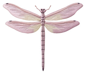 PNG Dragonfly in embroidery style insect invertebrate creativity.