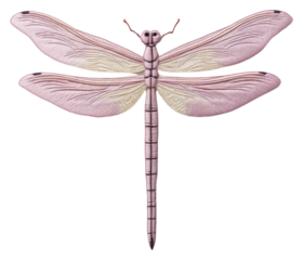 PNG Dragonfly in embroidery style insect invertebrate creativity.