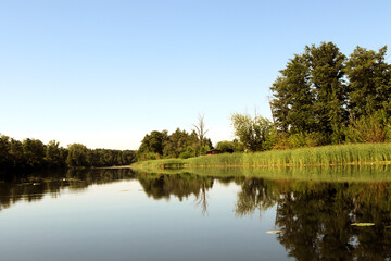 Beautiful serene river reflecting lush and trees greenery under clear blue sky at midday