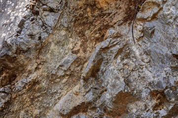 Detailed view of rocky terrain showcasing various textures and colors in a natural setting during daytime