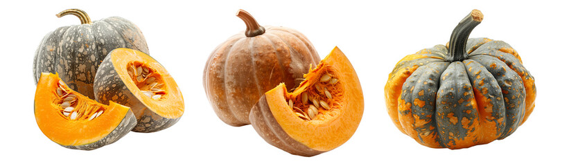 Jarrahdale pumpkin with a green stem isolated on a white background, great for autumn themes and decorations