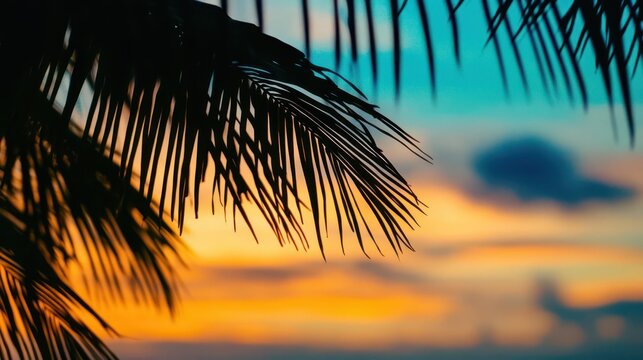 Close-up of palm tree silhouettes framed by the colorful sky at dawn, capturing the essence of a tropical paradise