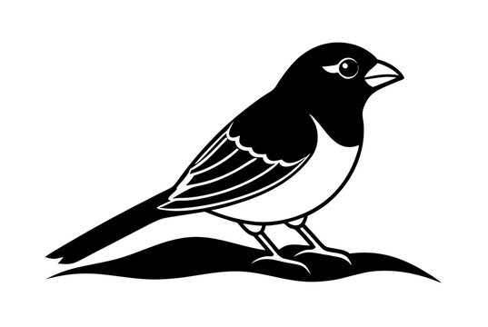 recommend clip art: Drawing of beautiful Grosbeak bird silhouette black vector art illustration 