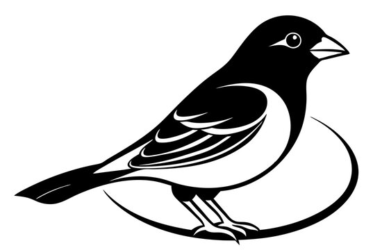recommend clip art: Drawing of beautiful Grosbeak bird silhouette black vector art illustration 
