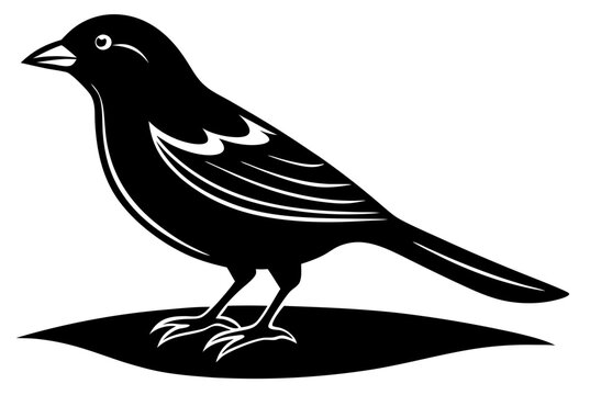 recommend clip art: Drawing of beautiful Grosbeak bird silhouette black vector art illustration 