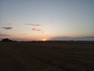 sunset in the field