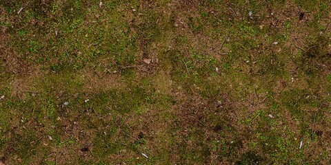 Close-up view of a patch of ground covered with sparse grass and small plants. Abstract background...