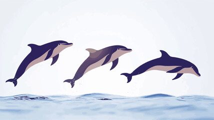 Fototapeta premium Three dolphins are jumping out of water one after another in a perfect synchronized choreography