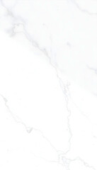 Obraz premium Smooth white marble flooring with dramatic grey veining, creating an elegant and sophisticated atmosphere, ideal for luxurious interiors and modern design