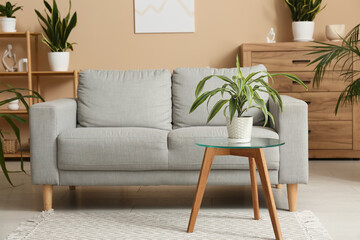 Comfortable sofa, table and houseplants in interior of living room